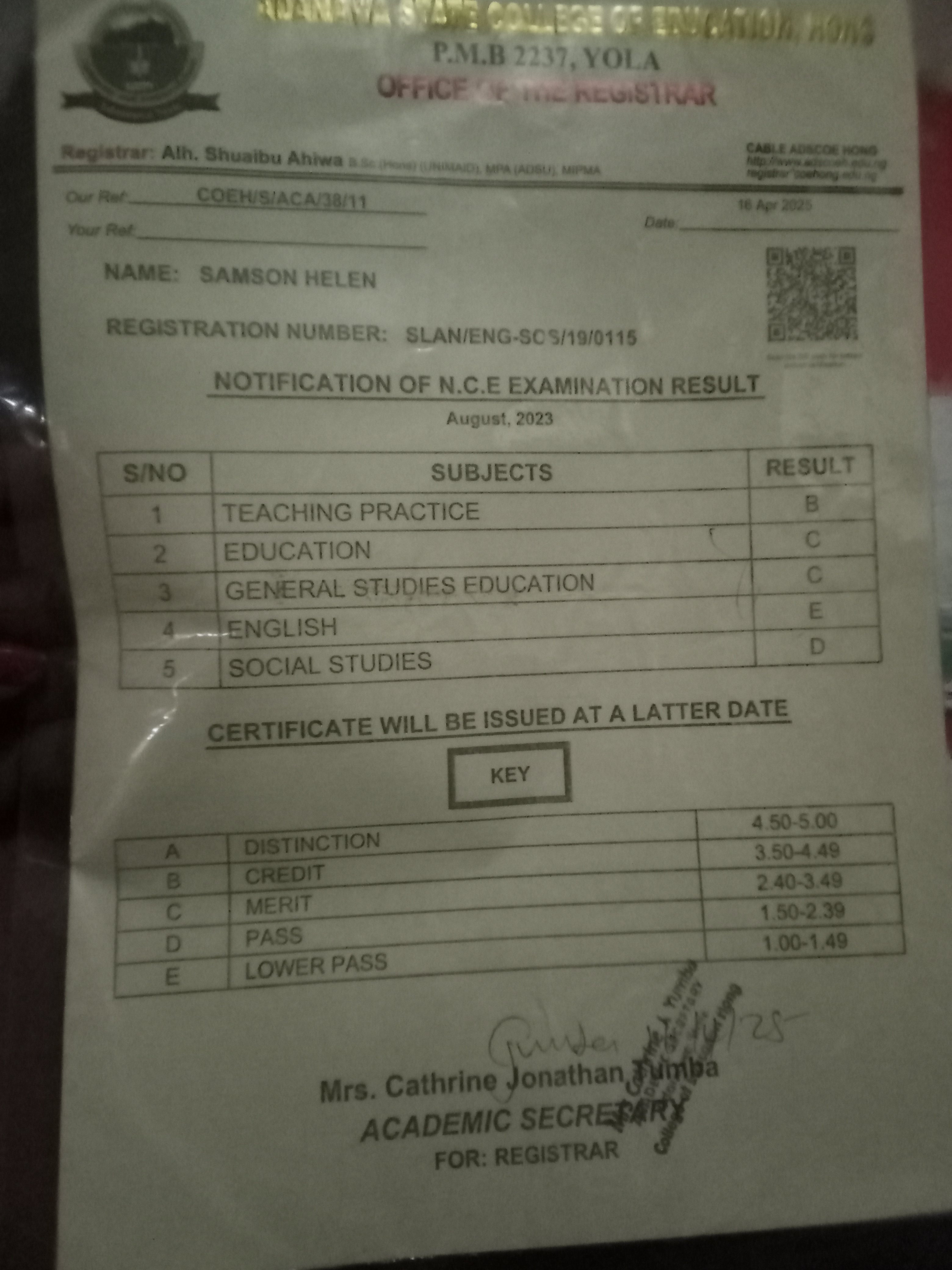 Nigeria job field enumerator data collector